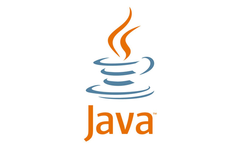 Imagen que muestra Java, un popular lenguaje de programación orientada a objetos, junto con su logotipo.