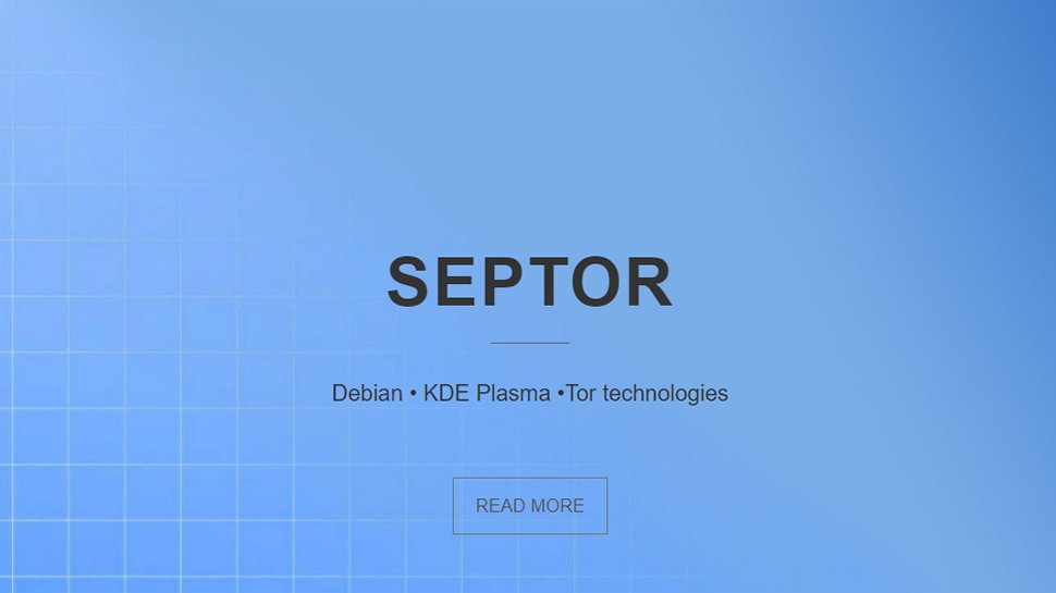 Captura de pantalla del sitio web de Sepor