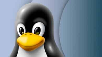 Las mejores distribuciones de Linux para privacidad y seguridad en 2022