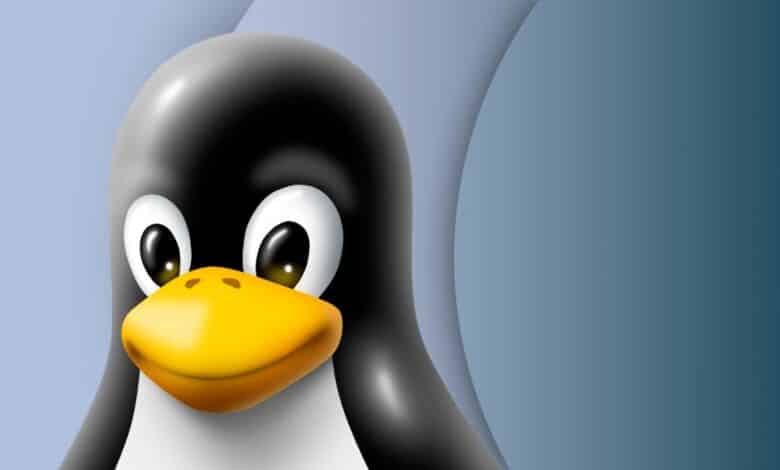 Las mejores distribuciones de Linux para privacidad y seguridad en 2022