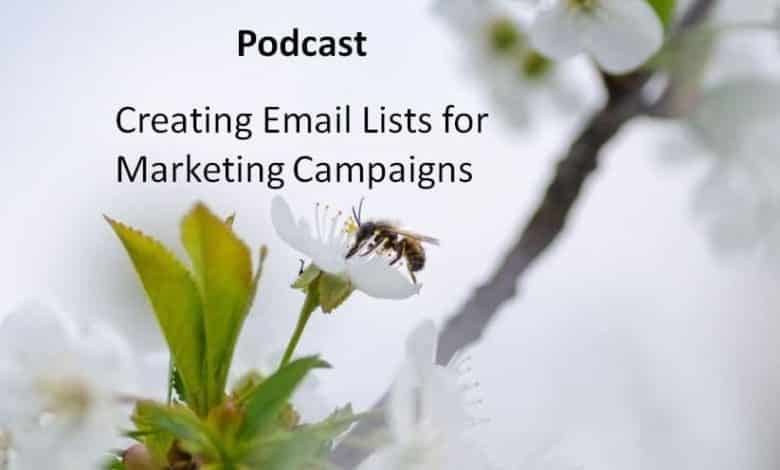 Creación de listas de correo electrónico para campañas de marketing