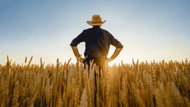 La nueva regla propuesta por la SEC perjudicaría a las pequeñas granjas en los EE. UU.