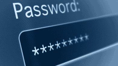 Image of a computer screen with a blurred out password.