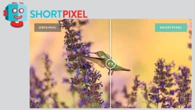 ShortPixel Image Optimizer puede acelerar su sitio comercial