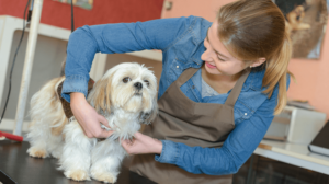 10 nuevas empresas de franquicias de mascotas - Tendencias de pequeñas empresas