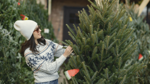 15 ideas de negocios de Navidad - Tendencias de pequeñas empresas