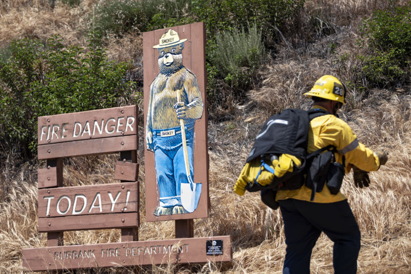 El cartel de Smokey the Bear junto a un bombero.