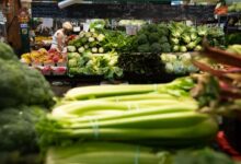 Los precios de los alimentos se disparan en septiembre a pesar de la desaceleración general de la inflación - Nationwide