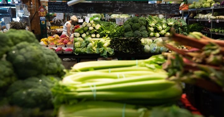 Los precios de los alimentos se disparan en septiembre a pesar de la desaceleración general de la inflación - Nationwide