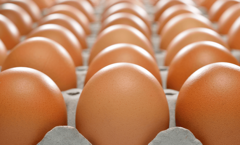 Los precios del huevo están aumentando nuevamente, un 150% más que el año pasado