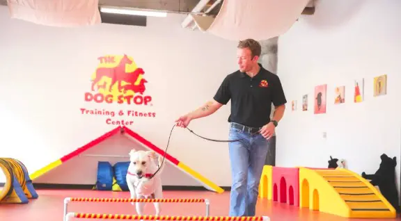 The Dog Stop es una ventanilla única para dueños de mascotas